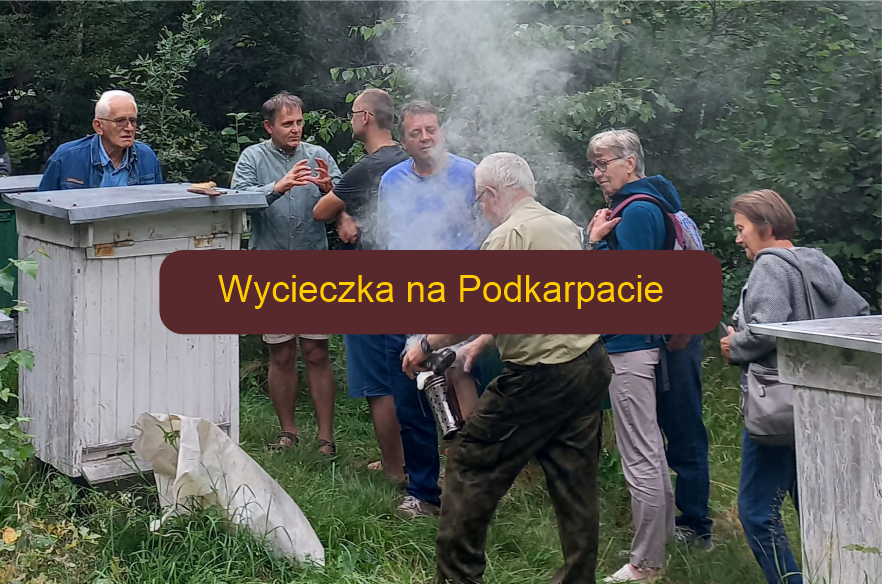 wycieczka1